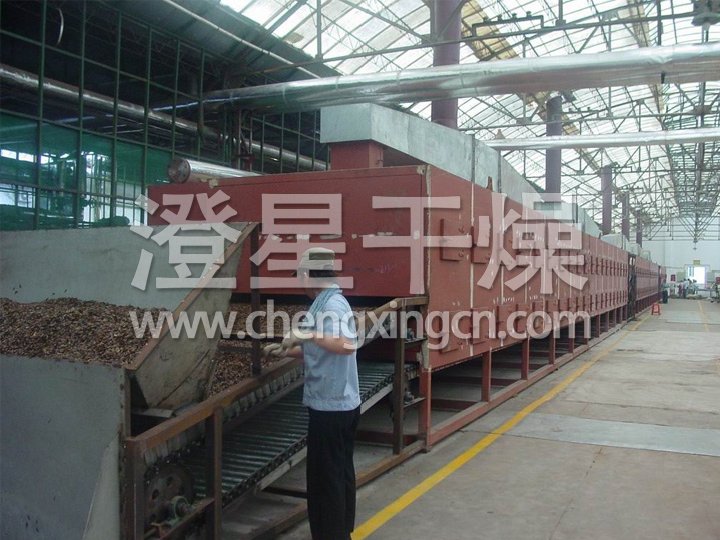 脱水蔬菜带式干燥机